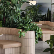 Plants for your Business Space